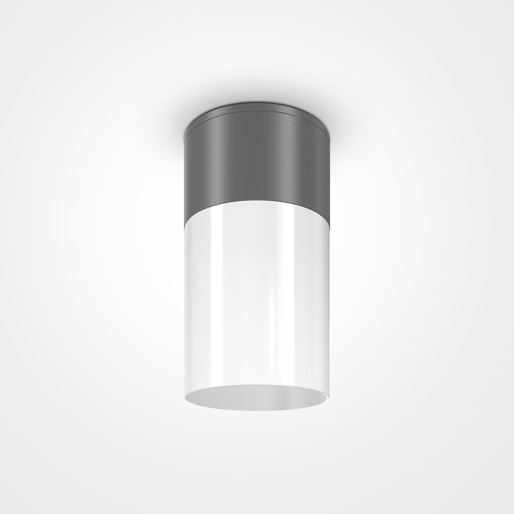 Plafon zewnętrzny Willis O418CL-01GR