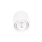 Maxlight Oprawa natynkowa Fix - Aluminium - Biały C0256