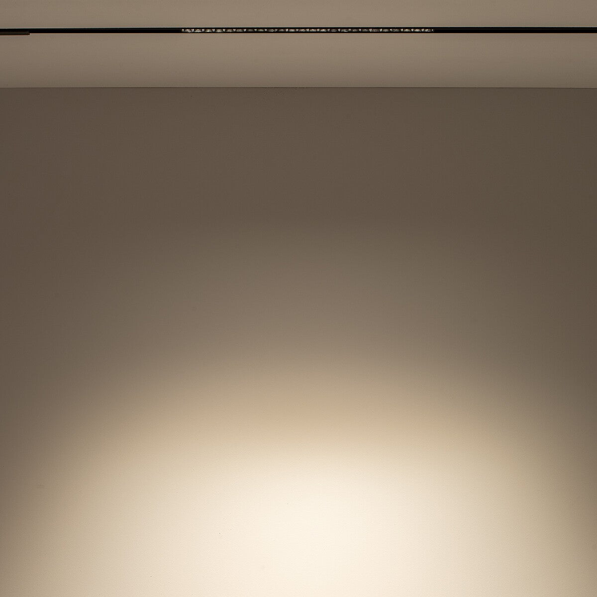 Nowodvorski System szynowy LVM FOCUS LED 15W 1-obwodowy niskonapięciowy 48V LVM Lampa LED 15W - Aluminium lakierowane - Czarny 10150 - lampa włączona