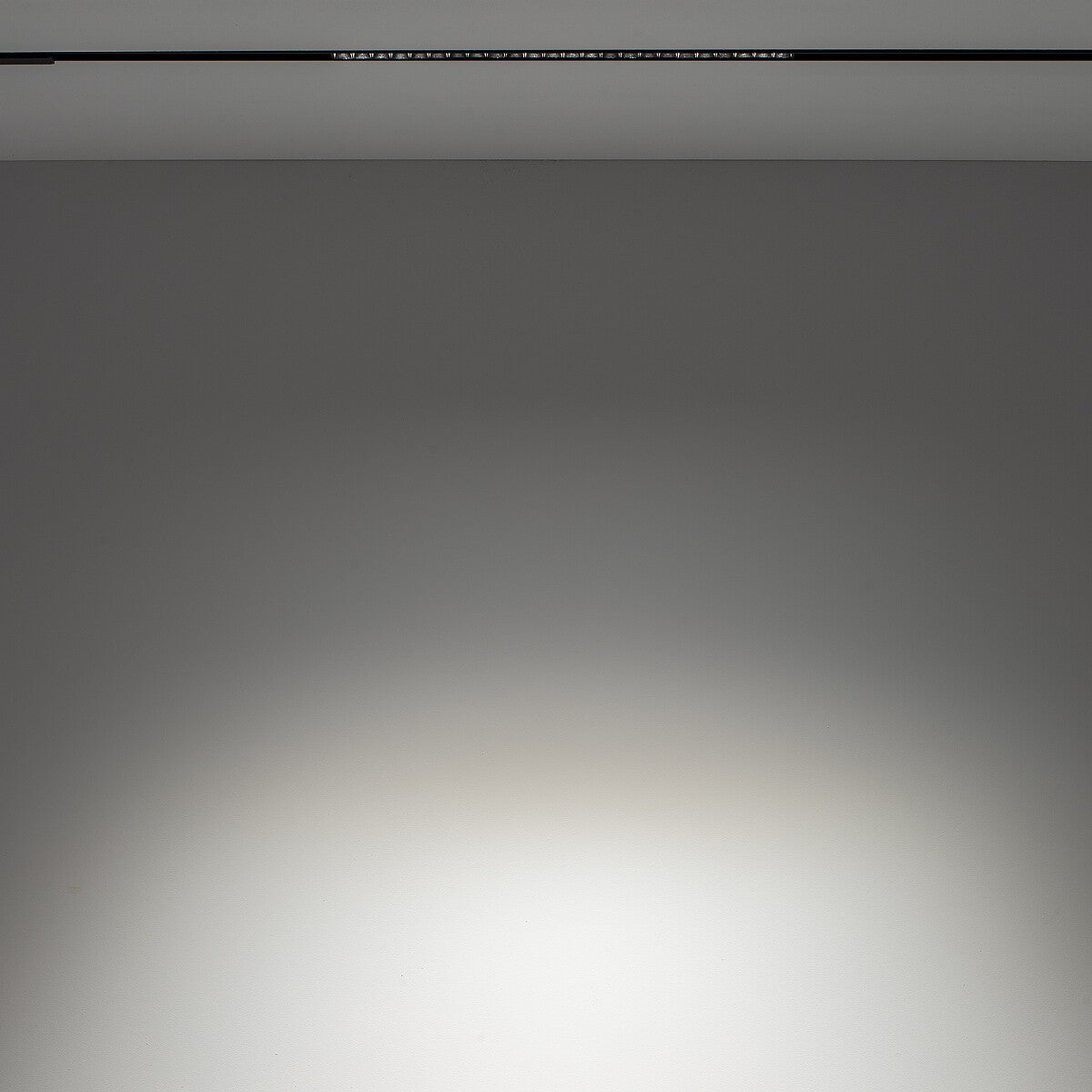 Nowodvorski System szynowy LVM FOCUS LED 15W 4000K 1-obwodowy niskonapięciowy 48V LVM Lampa LED 15W - Aluminium lakierowane - Czarny 10643 - lampa włączona