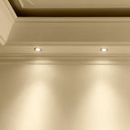 Pierścień dekoracyjny do oprawy ognioodpornej / SATIN NICKEL / IP65 / 5-pak
