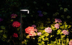 Nowodvorski Lampa gruntowa RUBY LED 7W 220-230 50/60 IP54 - Aluminium lakierowane - Czarny 11542