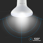 10W R80 Żarówka LED / Chip SAMSUNG / Barwa:6400K / Trzonek:E27