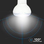 6W R50 Żarówka LED / Chip SAMSUNG / Barwa:3000K / Trzonek:E14