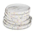 3.6W Taśma LED / Barwa: Niebieski / IP20 / Rolka:5m