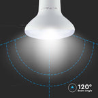 11W R80 Żarówka LED / Chip SAMSUNG / Barwa:4000K / Trzonek:E27