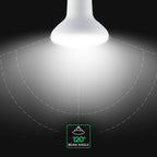 11W R80 Żarówka LED / Chip CREE / Barwa:6500K / Trzonek:E27 / 6 Lat gwarancji