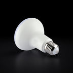 11W R80 Żarówka LED / Chip CREE / Barwa:6500K / Trzonek:E27 / 6 Lat gwarancji