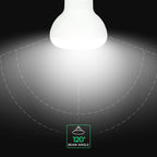 4.8W R50 Żarówka LED / Chip CREE / Barwa:3000K / Trzonek:E14 / 6 Lat gwarancji