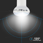 3W R39 Żarówka LED / Chip SAMSUNG / Barwa:3000K / Trzonek:E14