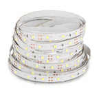 4.2W Taśma LED / Barwa: Niebieski / IP20 / Rolka:5m