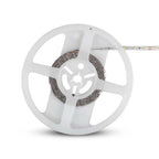 4.2W Taśma LED / Barwa: Czerwona / IP20 / Rolka:5m
