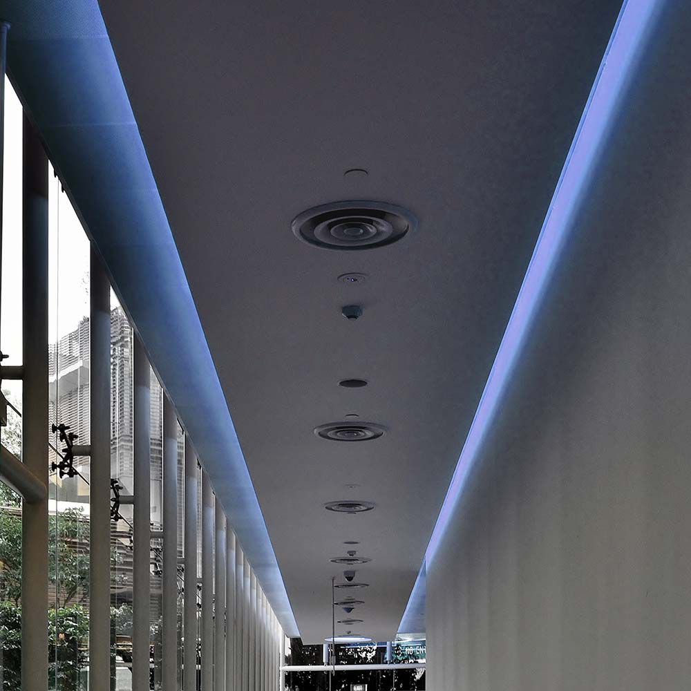 5W Taśma LED / Barwa: Niebieski / IP65/ Rolka:5m