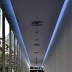 5W Taśma LED / Barwa: Niebieski / IP65/ Rolka:5m