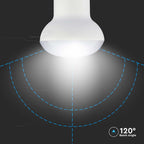 2.9W R39 Żarówka LED / Chip SAMSUNG / Barwa:3000K / Trzonek:E14