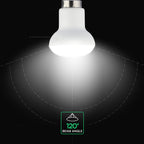 2.9W R39 Żarówka LED / Chip CREE / Barwa:6500K / Trzonek:E14 / 6 Lat gwarancji