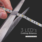 6W Taśma LED / Barwa:6400K / IP20 / Rolka:5m