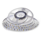 6W Taśma LED / Barwa:6400K / IP20 / Rolka:5m