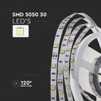 4.8W Taśma LED / Barwa: 3000K / IP20 /