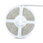 6W Taśma LED / Barwa:3000K / IP65 / Rolka:5m