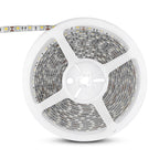 11W Taśma LED / Barwa:4500K / IP65 / Rolka:5m