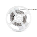 11W Taśma LED / Barwa: Żółty / IP20 / Rolka:5m