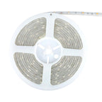 4.8W Taśma LED / Barwa:4000K / IP65 / Rolka:5m