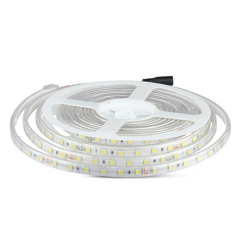 10W Taśma LED / Barwa:6400K / IP65/ Zasilanie: 24V / Rolka:5m