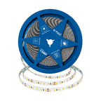 10W Taśma LED / Chip CREE / Barwa:3000K / IP20 / Zasilanie: 24V / Wzmocniony podkład PCB / Rolka:10m / 6 Lat gwarancji