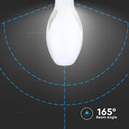 36W Uliczna Żarówka LED / Chip SAMSUNG / Barwa:6500K / Trzonek:E27