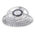 4.8W Taśma LED / Barwa:3000K / IP20 / Rolka:5m