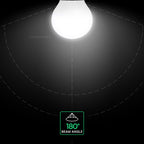3.7W G45 Żarówka LED / Chip CREE / Barwa:6500K / Trzonek:E27 / 6 Lat gwarancji