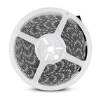 10.8W Taśma LED / Barwa:6000K / IP65 / Rolka:5m