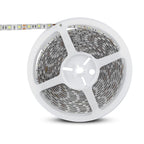 10.8W Taśma LED / Barwa:6000K / IP65 / Rolka:5m