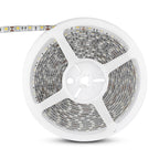 10.8W Taśma LED / Barwa: RGB / IP65 / Rolka:5m