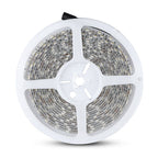 10.8W Taśma LED / Barwa: RGB / IP65 / Rolka:5m