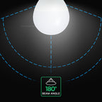 6.5W P45 Żarówka LED / Chip CREE / Barwa:6500K / Trzonek:E14 / 6 Lat gwarancji