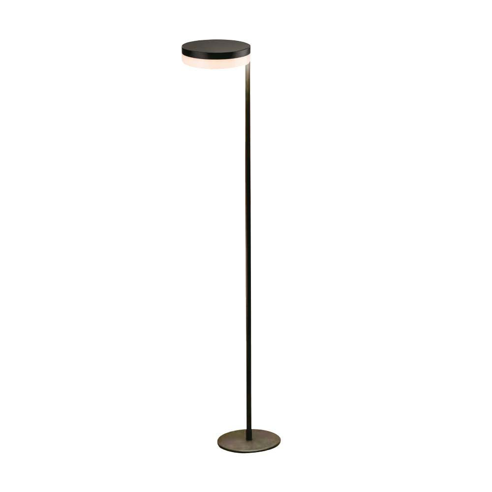 2W Lampa Ogrodowa LED Solarna / Barwa: 3000K