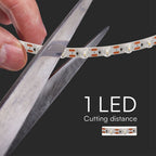 16.5W Taśma LED / Barwa:3000K / IP20 / Zasilanie: 24V / Rolka:5m