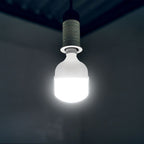 20W T80 Żarówka LED / Barwa:4000K / Trzonek:E27