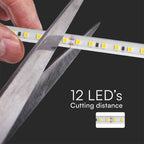 10.5W Taśma LED / Barwa:6500K / Zasilanie: 230V / IP65 / Rolka:10m
