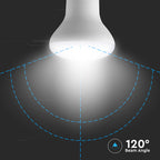 8.5W R63 Żarówka LED / Barwa:6500K / Trzonek:E27