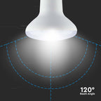 11W R80 Żarówka LED / Barwa:4000K / Trzonek:E27