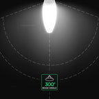 60W Uliczna Żarówka LED / Barwa:6500K / Trzonek:E40