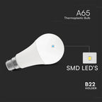 15W A65 Żarówka LED / Chip CREE / Barwa:6500K / Trzonek:B22 / 6 Lat gwarancji