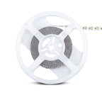 Taśma LED / Barwa:3000K / IP20 / Rolka:5m