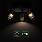 3x6W Dekoracyjna lampa sufitowa LED / Barwa: 3000K / Obudowa: Czarna / IP20