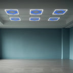 64W Panel LED Ramowy diament 600x600mm / Zasilacz LIFUD / FLICKER FREE / Barwa: 6500K + Niebieski / Opakowanie: 6szt.