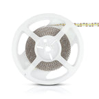 Taśma LED / Barwa:6000K / IP20 / Rolka:5m