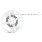 Taśma LED LIGHT-S / Barwa:4000K / 12V / IP20 / Rolka:5m